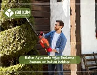 Bahar Aylarında Ağaç Budama Zamanı ve Bakım Rehberi
