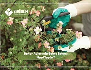 Bahar Aylarında Bahçe Bakımı Nasıl Yapılır?