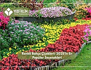 Renkli Bahçe Çiçekleri 2025'in En Popüler Seçenekleri