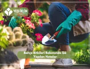 Bahçe Bitkileri Bakımında Sık Yapılan Hatalar