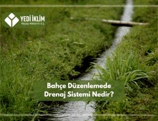 Bahçe Düzenlemede Drenaj Sistemi Nedir