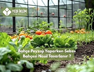 Sebze Bahçesi Nasıl Tasarlanır