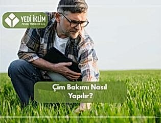 Çim Bakımı Nasıl Yapılır
