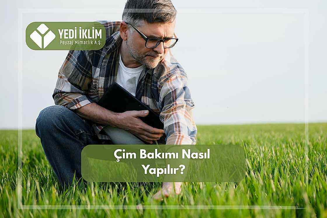 Çim Bakımı Nasıl Yapılır
