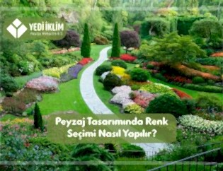 Peyzaj Tasarımında Renk Seçimi Nasıl Yapılır